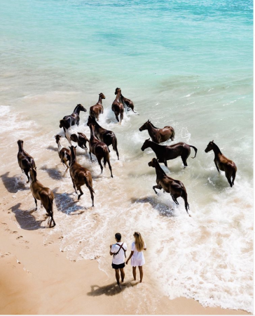印尼世界顶级度假村！像Elsa一样海中骑马！超梦幻！