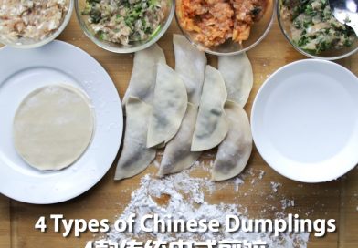 4 Types of Chinese Dumplings – 4款传统中式饺子