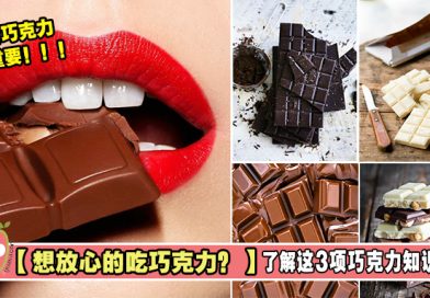 【想放心的吃巧克力？】了解这3项巧克力知识先！