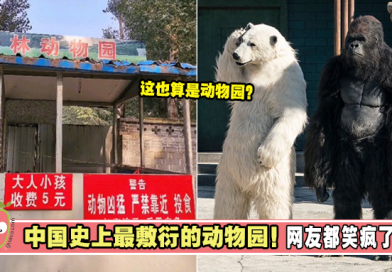 中国史上最敷衍的动物园！网友都笑疯了！