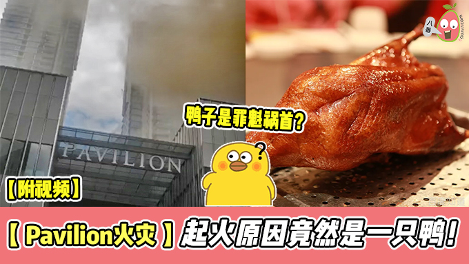【 Pavilion火灾 】起火原因竟然是因为北京烤鸭！