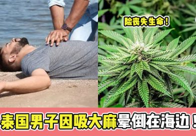 泰国男子因吸大麻晕倒在海边 ! 险丧失生命 !
