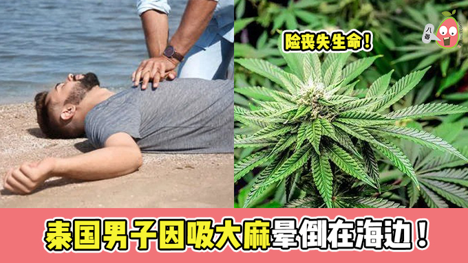 泰国男子因吸大麻晕倒在海边