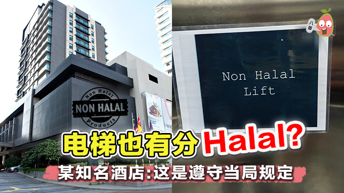 Non Halal电梯
