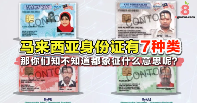 原来 马来西亚身份证有7种 类型?!  每个颜色象征着不同身份!