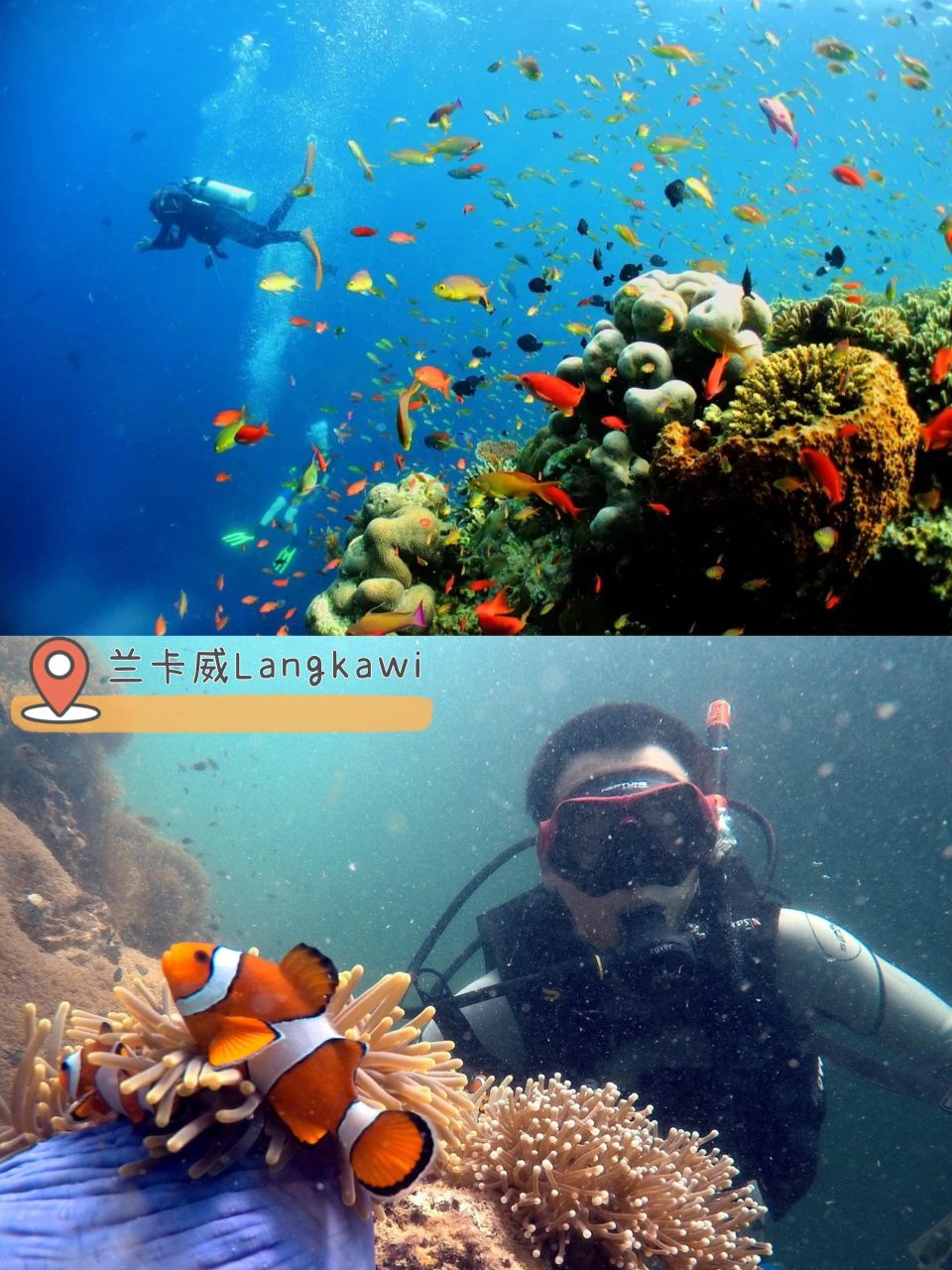 TOP 10必打卡潜水景点