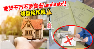 把地契拿去Laminate