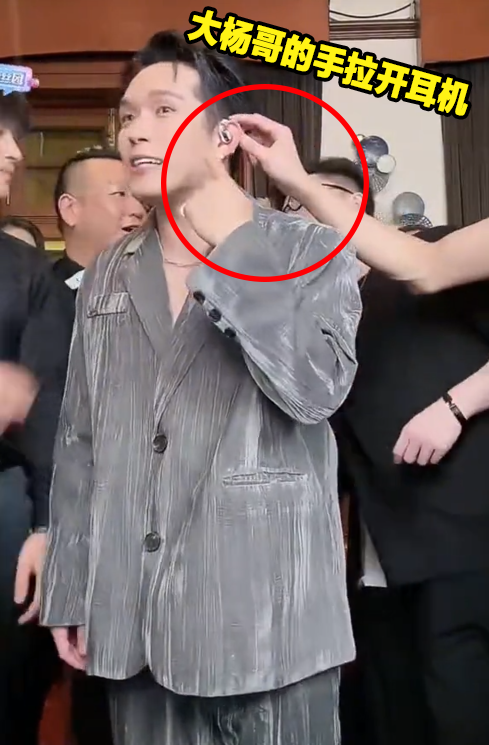 大小杨哥直播内幕❗